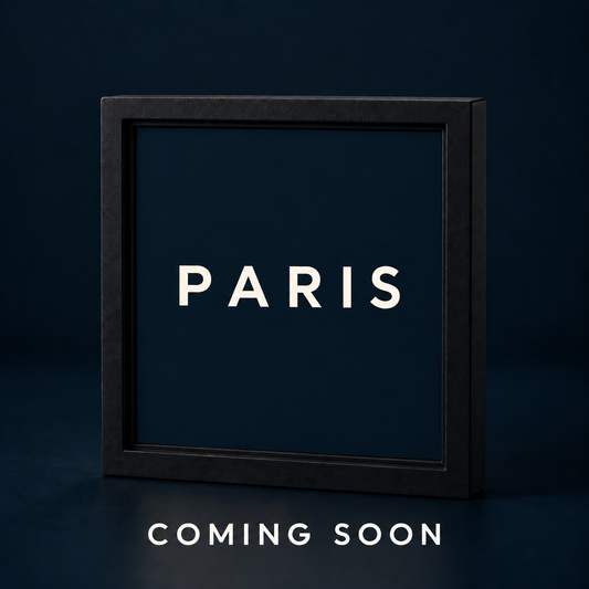 FrameCity Paris – 3D-Stadtmodell