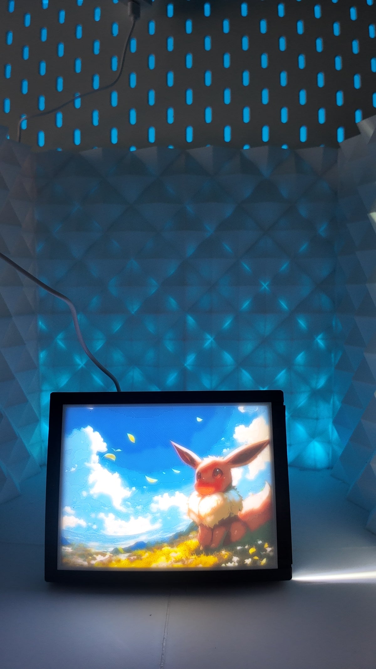 LED Bild Evo